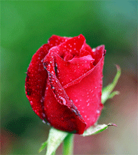 天津靜海專業(yè)婦科人流醫(yī)院